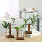 Terrarium Hydroponic Plant Vases Vintage Flower Pot Transparent Vase Wooden Frame Glass Tabletop Plants Home Bonsai Decor AFCLANE